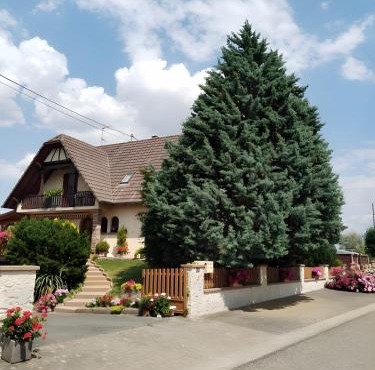 Chambres D'hôtes - Suite Pampas