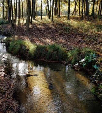 Chambres d'hôtes à Pontonx