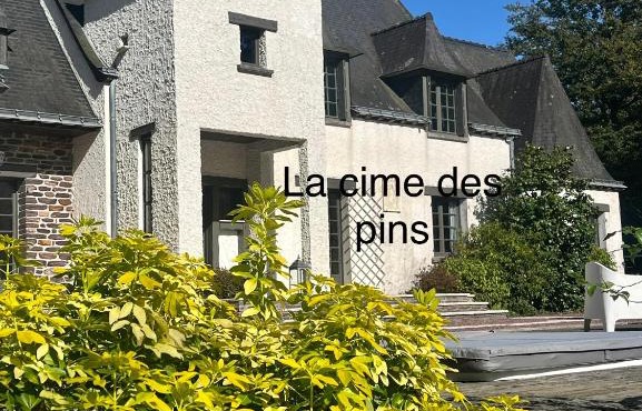 chambres d'hôtes, La cime des pins