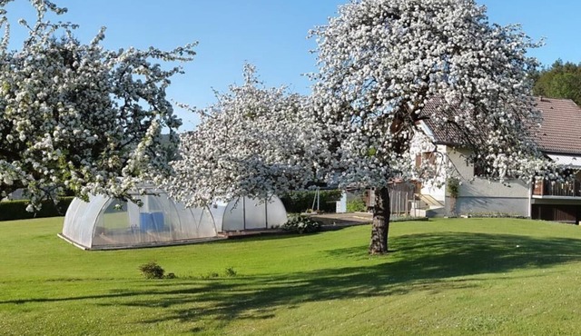 Chambres d'hôtes Les Jumeaux