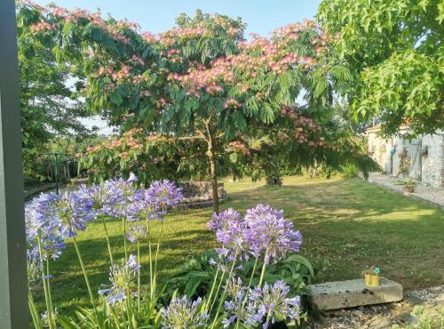 chambres d'hôtes "DINEDORT"