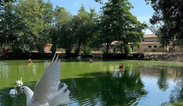 Chambres d'hôtes à la ferme Chant'alouette
