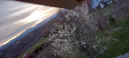 chambres d'hôtes Imago