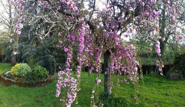 Chambres d'Hôtes La Gautraie