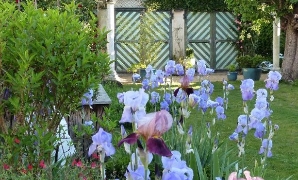 Chambres d'Hôtes Les Pergolas