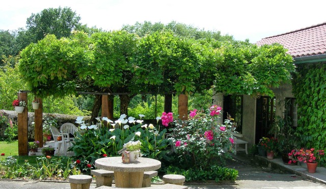 Chambres d'hôtes Sous la Glycine