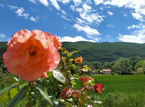 Chambres d'Hôtes & Studio L'Hosting Noix