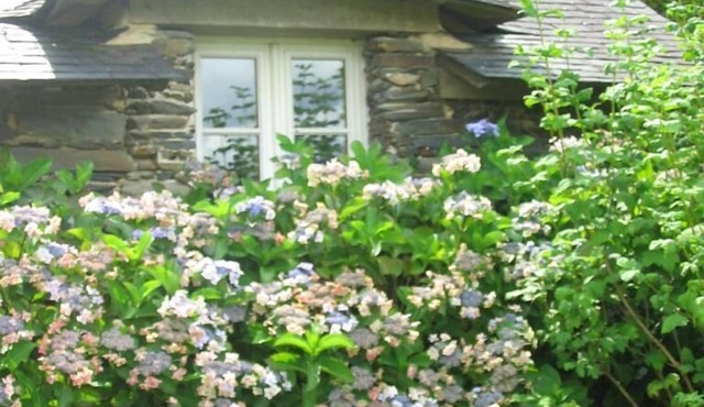 Chambres d'hotes la Merais