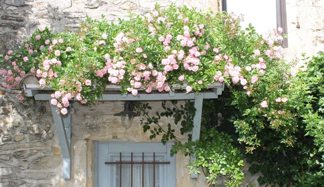 Chambres d'Hotes La Rose