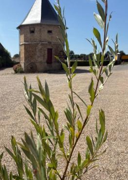 Chambres dhotes a la ferme