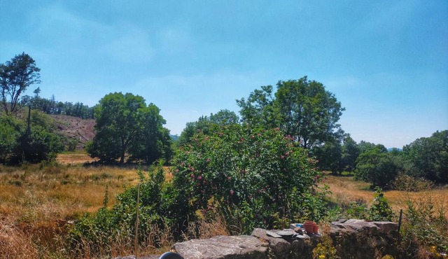 Chambres et Gîte équestre Le Sellier