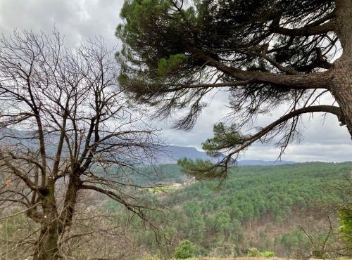 Chambres d'Hôte chez Antoine