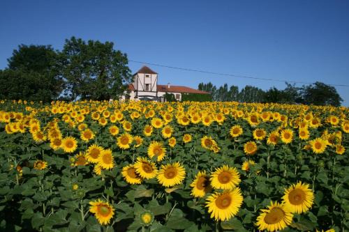Chambres Rozies Dunes