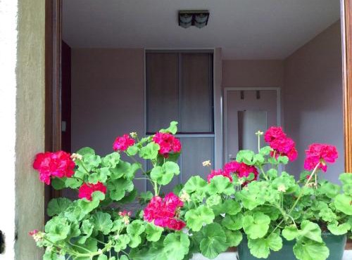 Chambres tout confort du Tilleul