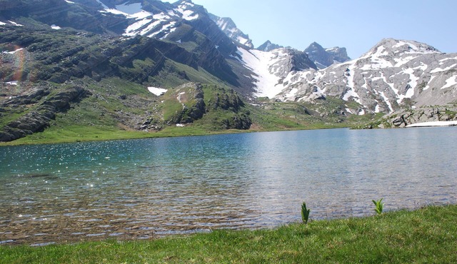 Chamois * agréement prefectural 04-073-0252