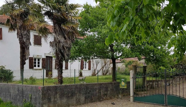 Champan - Toulouzette