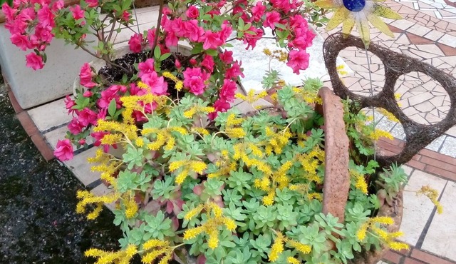 change of scenery and tranquility