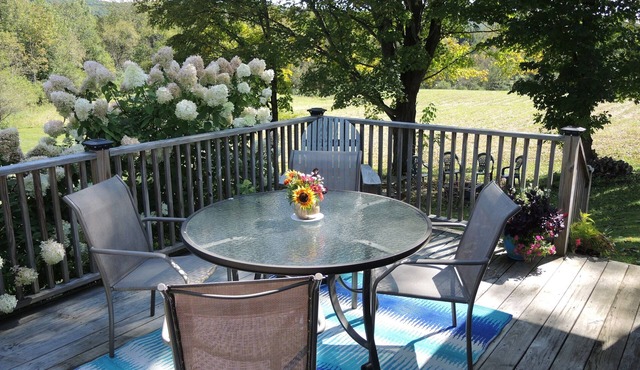 Changing Seasons Game room, large yard, 3 bedroom/2 bath ranch, country setting