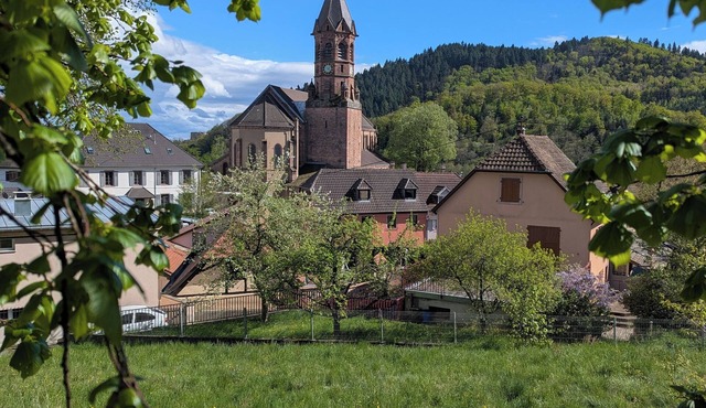 Chanterelle - Authentic Alsatian charm in a 1600 heritage home