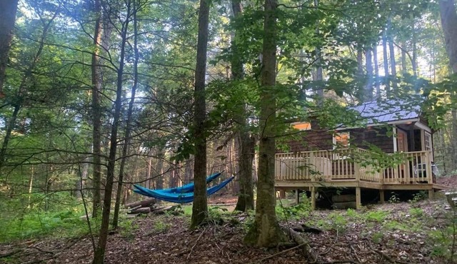 Chanterelle Tiny House