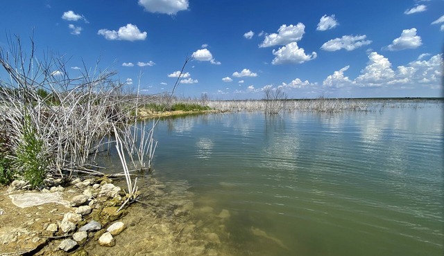 Chaparral de Lago 2