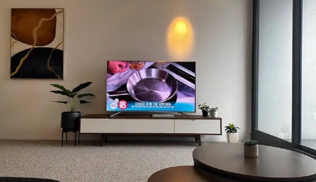 Chapel Street Vibes: Urban Oasis