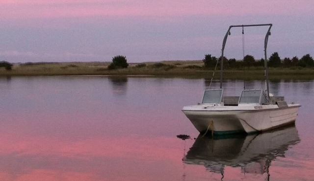 Chappy relaxation and fun!