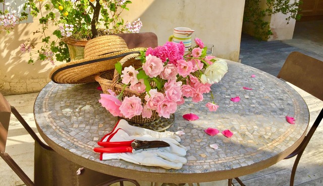 Charming villa in Camargue with private pool