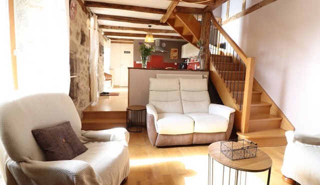 Character house with garden, fireplace and wifi in Châtaigneraie cantalienne