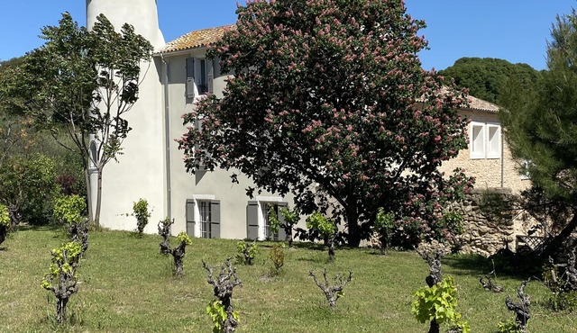 Character country property surrounded by vineyards