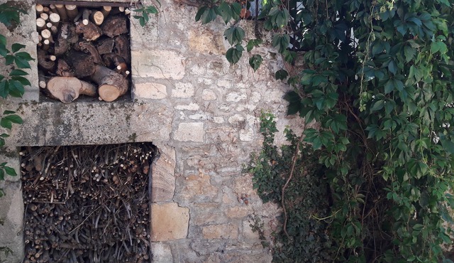 Character family house, with large enclosed garden and swimming pool