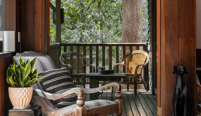 Character filled chalet at Springbrook National Park, Queensland Australia