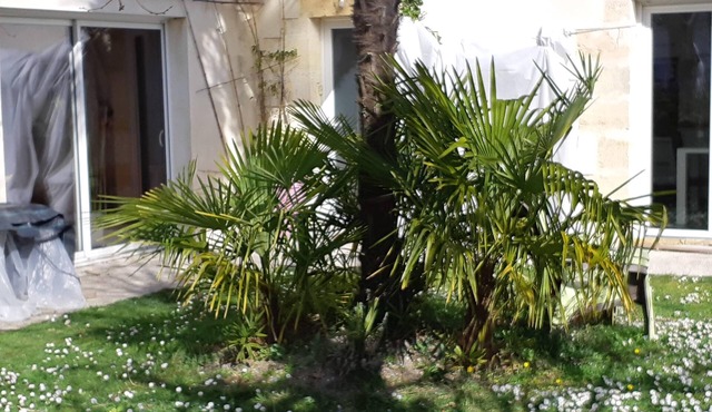 Character house, 3 bedrooms, 3 bathrooms, large living room, wood burning stove