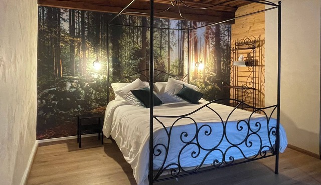 Character house close to nature for a stay with family or friends