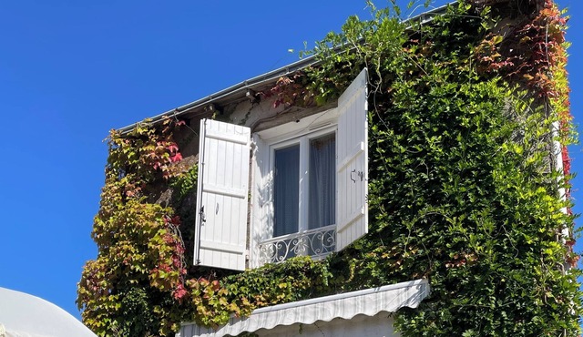 Character house in the beautiful Vienne region