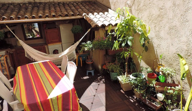 Character house, intramural, close to amenities, festivals