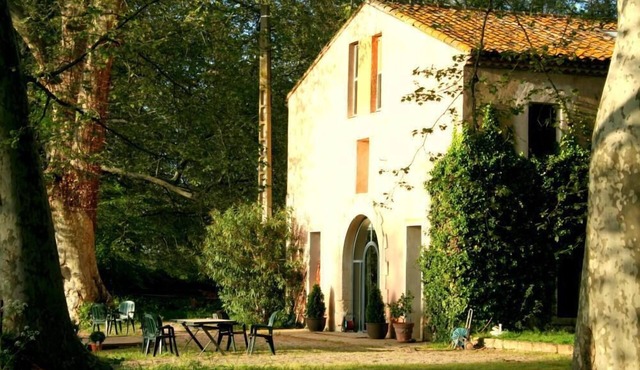 Character house under three-hundred-year-old plane trees
