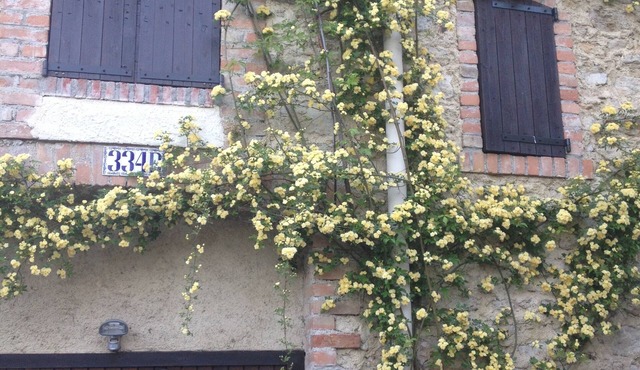 Character House with private pool