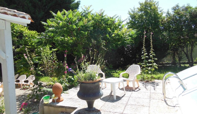 Character room for rent mini 2 nights