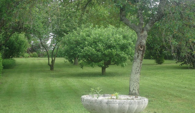 Characterful country house in a village of 1200 inhabitants.