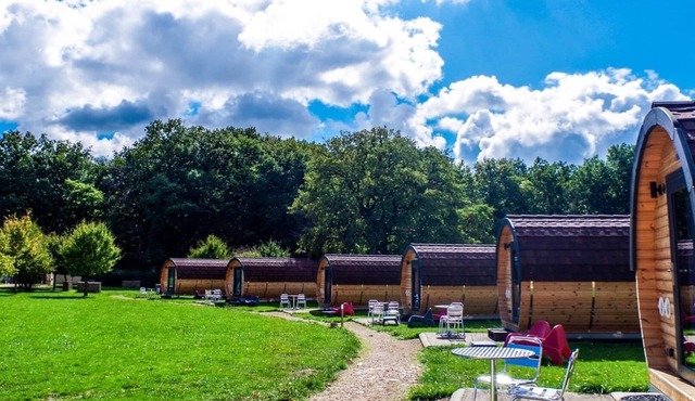 Chardonnay, Domaine Joseph Lafarge