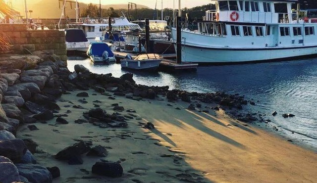 Charley Rose - Hawkesbury River Marina Brooklyn