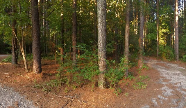 Charlotte : Carolina country oasis, 6 acres of serenity near Lake Wylie SC..