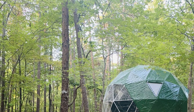 Charlotte Glamping Dome- Fawn and Fern Hideaway