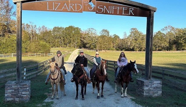 Charlotte is hidden in the trees! Horses! Trails! Swimming! Kayaking! Fishing!