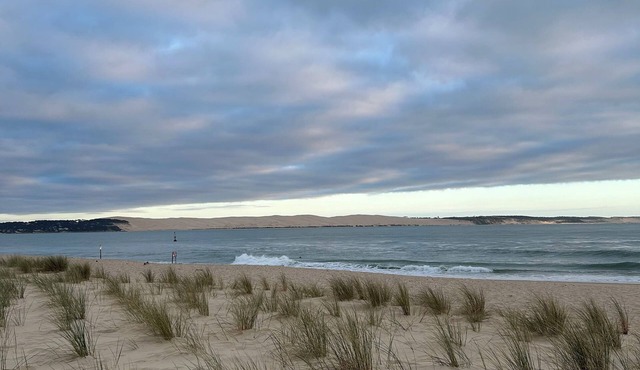Charm and wild nature for this apartment with terrace in the middle of the dunes