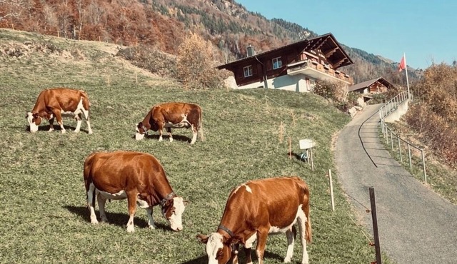 Charming Lakeview Swiss Chalet - Alps Retreat Interlaken awaits you