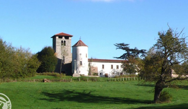 Charming cottage with pool, Wi-Fi and pets allowed