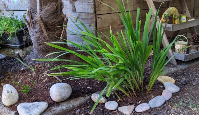 Charmant Appartement Avec Jardin à La Roche-bernard