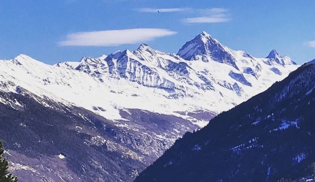 Charmant Appart 2,5 Pces Pour Vacances à Thyon